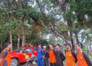 Wisatawan Asal Bogor Hilang di Pantai Goa Langir, Operasi Pencarian Ditutup setelah 7 Hari Tak Ditemukan
