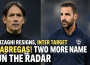 Inzaghi Mundur, Inter Bidik Cesc Fabregas, Ini 2 Nama Lain yang Masuk Radar, Siapa?