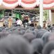 Bupati Serang Ratu Rachmatuzakiyah saat melantik dan mengukuhkan 6.057 PPPK paruh waktu di Alun-alun Kecamatan Kramatwatu, Kabupaten Serang, Senin, 29 Desember 2025