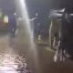 Genangan banjir merendam permukiman warga di salah satu kecamatan di Kabupaten Serang akibat hujan deras yang mengguyur wilayah tersebut selama beberapa hari terakhir.