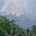 Aparat gabungan dan petugas BPBD Kabupaten Serang melakukan pengecekan lokasi longsor di kawasan Gunung Kaupas, Kecamatan Padarincang.