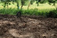 Kondisi makam almarhum Sajim di TPU Kramat Junti, Desa Junti, Kecamatan Jawilan, Kabupaten Serang, yang ditemukan terbongkar dengan galian rapi dan tanpa jasad, Minggu, 18 Januari 2026