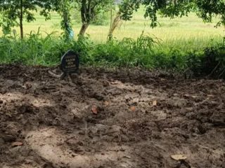 Kondisi makam almarhum Sajim di TPU Kramat Junti, Desa Junti, Kecamatan Jawilan, Kabupaten Serang, yang ditemukan terbongkar dengan galian rapi dan tanpa jasad, Minggu, 18 Januari 2026