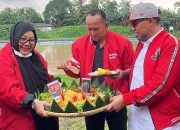 Peringati HUT Ke-79 Megawati, PDI Perjuangan Banten Gelar Aksi Sosial dan Lingkungan di Kota Serang