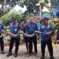 Damkar Ciledug