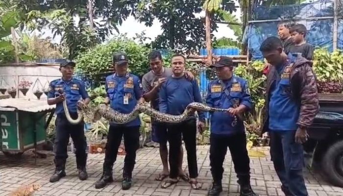 Damkar Ciledug