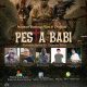 Pamflet nobar dan diskusi film “Pesta Babi” GUSDURian Serang Raya bertempat di Padepokan Kupi, Serang, yang mengangkat isu konflik agraria dan kolonialisme modern di Papua.