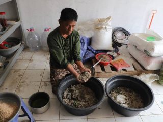 Aktivitas pengolahan sampah organik menggunakan maggot Black Soldier Fly di Unit Pengolahan Sampah Pasar Anyar, Kota Tangerang