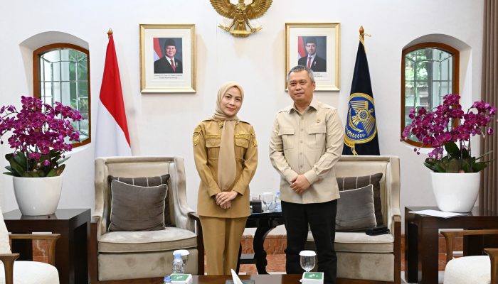 Bupati Serang Ratu Rachmatuzakiyah saat bertemu Menteri Perhubungan di Jakarta untuk membahas perbaikan PJU dan infrastruktur jalan nasional.