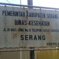 Warga Kabupaten Serang Diminta Siaga, Hantavirus dari Tikus Ancam Gagal Ginjal hingga Pneumonia Mematikan