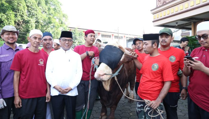 Gubernur Banten Andra Soni menyerahkan sapi kurban bantuan Presiden Prabowo Subianto berbobot 1,2 ton kepada pengurus Masjid Al Mubarok Kreo, Kota Tangerang, usai pelaksanaan Salat Idul Adha 1447 Hijriah.