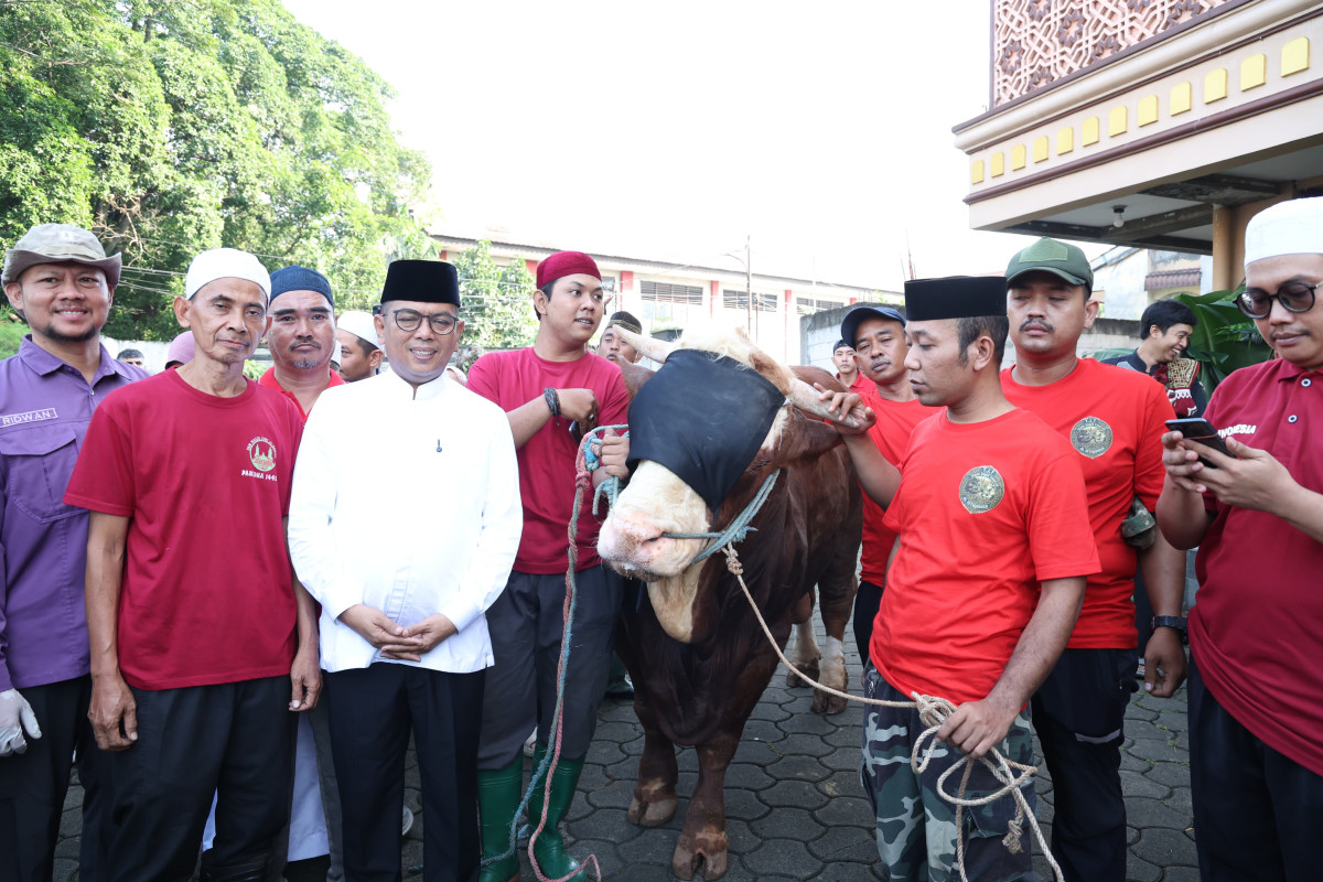 Gubernur Banten Andra Soni menyerahkan sapi kurban bantuan Presiden Prabowo Subianto berbobot 1,2 ton kepada pengurus Masjid Al Mubarok Kreo, Kota Tangerang, usai pelaksanaan Salat Idul Adha 1447 Hijriah.