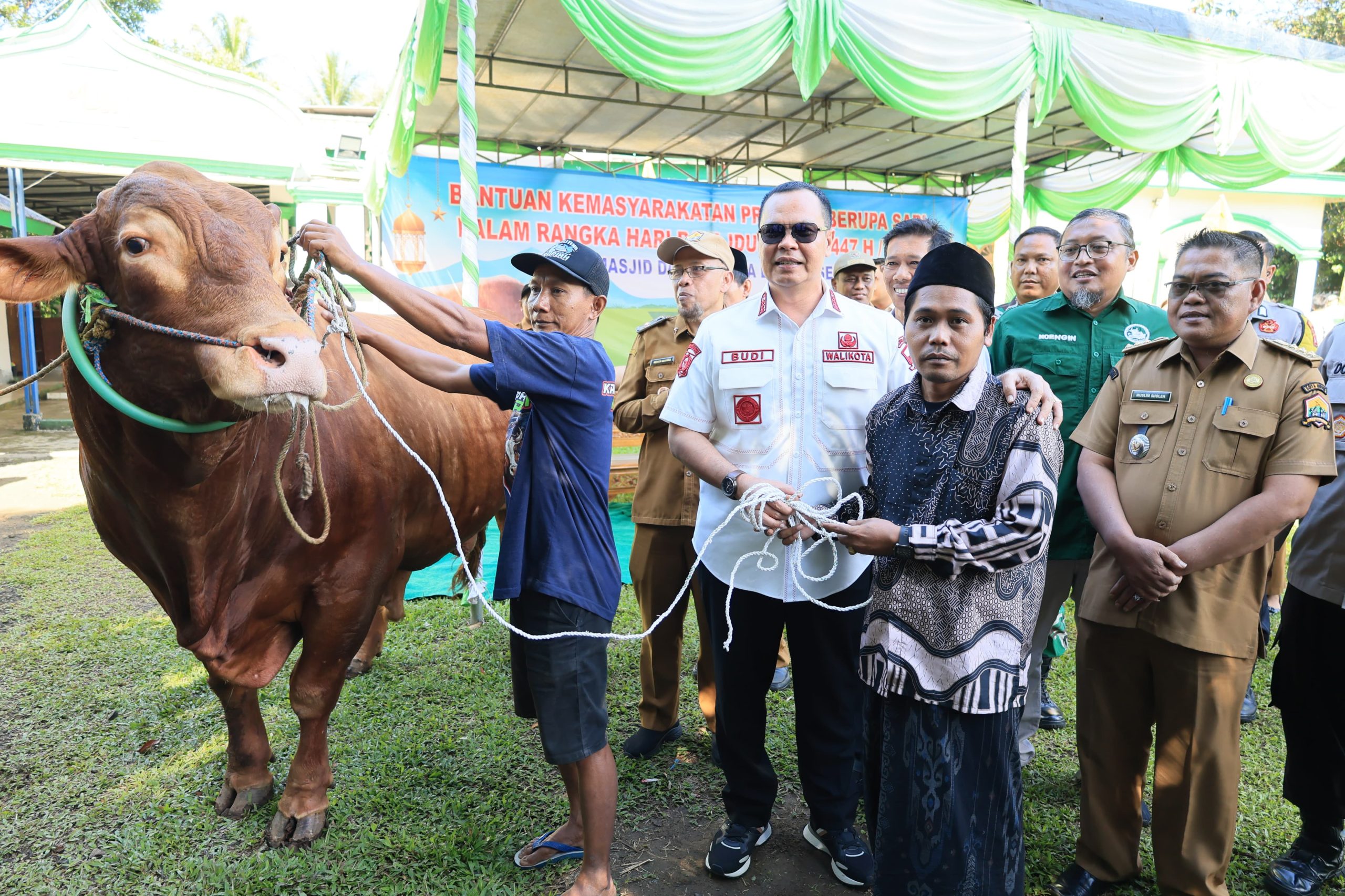 Sapi Kurban Bantuan Presiden