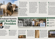 Memahami Konteks Sapi Kurban Presiden