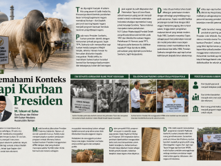 Memahami Konteks Sapi Kurban Presiden