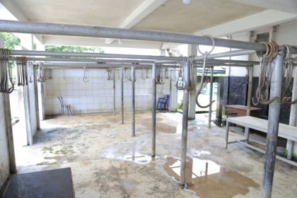 Menjelang Iduladha 1447 Hijriah, Pemkot Tangerang membuka layanan pemotongan hewan kurban di RPH Bayur dengan tarif hanya Rp60 ribu per ekor. Fasilitas lengkap, higienis, dan pembayaran sudah menggunakan QRIS.