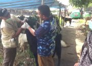 Pemkot Tangerang Siapkan Ratusan Petugas Iduladha 1447 H, Daging Kurban Berulat Bakal Disita