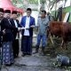 Ribuan jemaah memadati Masjid Raya Al-A’zhom Kota Tangerang saat pelaksanaan Salat Iduladha 1447 Hijriah bersama Wali Kota Sachrudin dan jajaran Pemkot Tangerang.