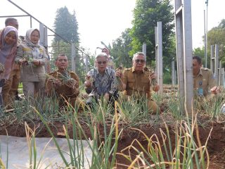 Panen Perdana Bawang Merah di Tangsel Pecah Rekor, Benyamin Siap Sebarkan Pupuk Bio-Organik ke Warga