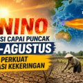 Puncak El Nino Mengancam Juli–Agustus 2026, Banten Siaga Hadapi Kekeringan Ekstrem, Krisis Air Bersih Jadi Ancaman Nyata