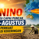 Petugas memantau kondisi lahan pertanian yang mulai mengering di Banten sebagai langkah antisipasi menghadapi puncak fenomena El Nino yang diperkirakan terjadi pada Juli–Agustus 2026