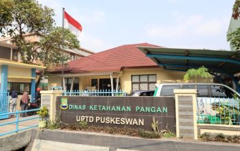 Dinas Ketahanan Pangan Kota Tangerang