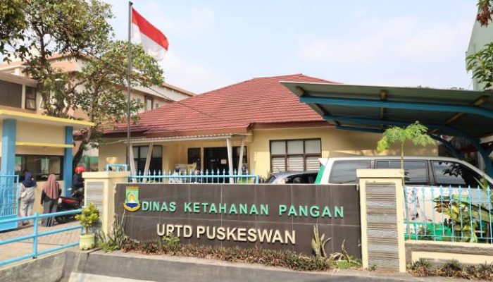 Heboh World Rabies Day 2026, Puluhan Hewan Peliharaan di Kota Tangerang Divaksin Gratis, Pemkot Perkuat Benteng Cegah Rabies