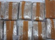 Sita 11 Kg Ganja, Polda Banten Gagalkan peredaran gelap narkotika Modus Ekspedisi Kargo