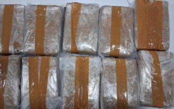 barang bukti berupa belasan kilogram paket ganja hasil pengungkapan Ditresnarkoba Polda Banten yang dikirim melalui kargo ekspedisi.