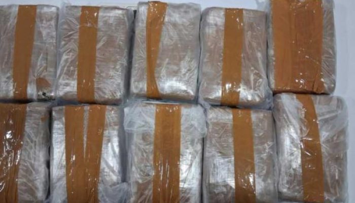 Sita 11 Kg Ganja, Polda Banten Gagalkan peredaran gelap narkotika Modus Ekspedisi Kargo
