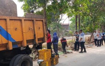 Bebaskan Akses Jalan Raya, Trantib Kecamatan Tangerang Ratakan Bangunan Liar Irigasi Sipon